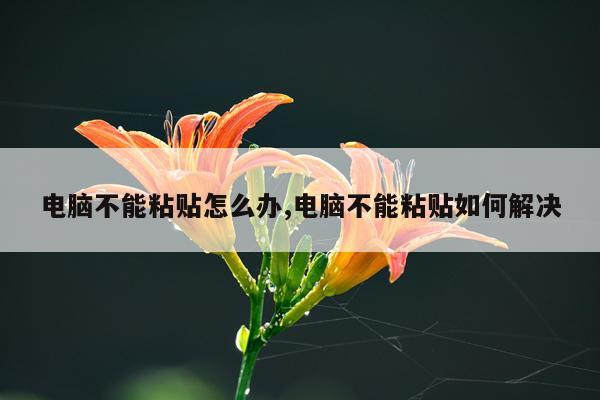电脑不能粘贴怎么办,电脑不能粘贴如何解决