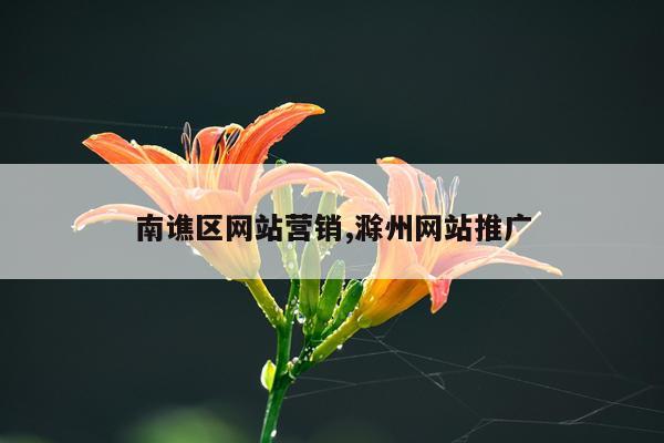 南谯区网站营销,滁州网站推广