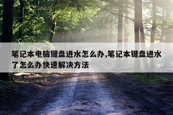 笔记本电脑键盘进水怎么办,笔记本键盘进水了怎么办快速解决方法