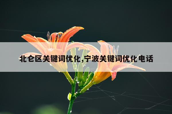 北仑区关键词优化,宁波关键词优化电话