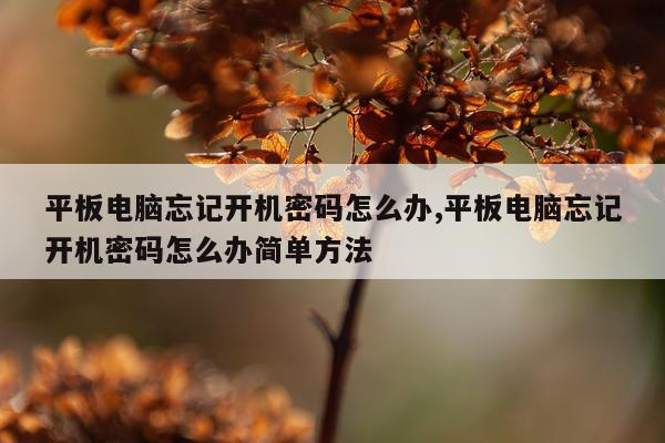 平板电脑忘记开机密码怎么办,平板电脑忘记开机密码怎么办简单方法