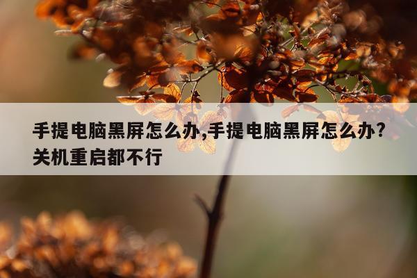 手提电脑黑屏怎么办,手提电脑黑屏怎么办?关机重启都不行