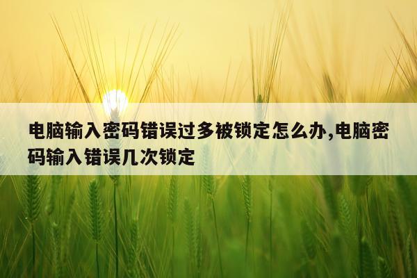 电脑输入密码错误过多被锁定怎么办,电脑密码输入错误几次锁定