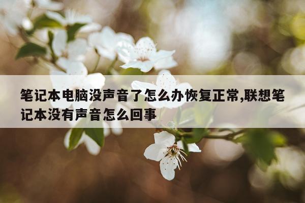 笔记本电脑没声音了怎么办恢复正常,联想笔记本没有声音怎么回事