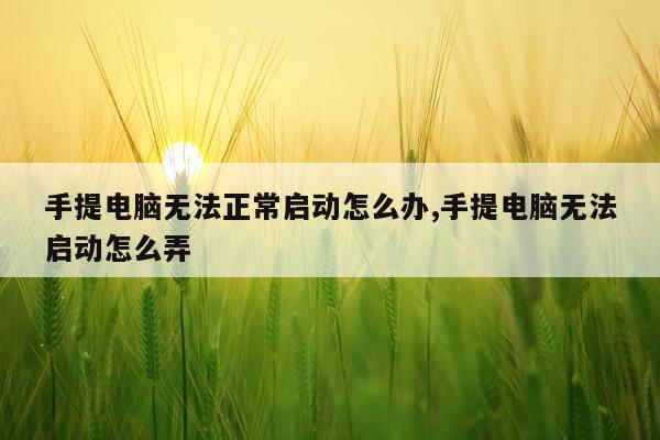 手提电脑无法正常启动怎么办,手提电脑无法启动怎么弄