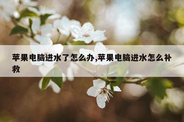 苹果电脑进水了怎么办,苹果电脑进水怎么补救