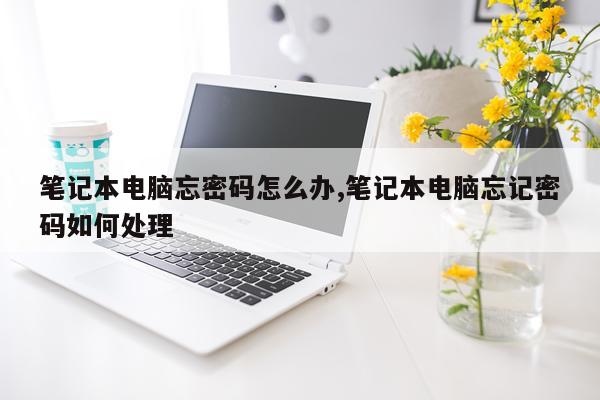 笔记本电脑忘密码怎么办,笔记本电脑忘记密码如何处理