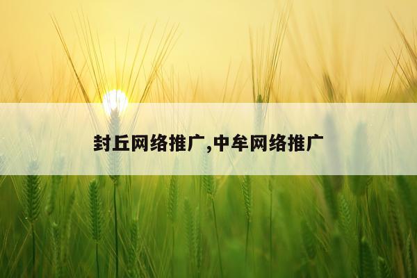 封丘网络推广,中牟网络推广
