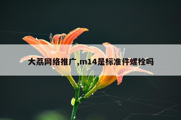 大荔网络推广,m14是标准件螺栓吗