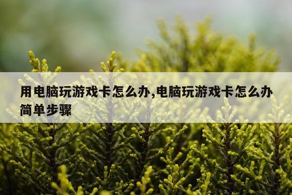 用电脑玩游戏卡怎么办,电脑玩游戏卡怎么办简单步骤