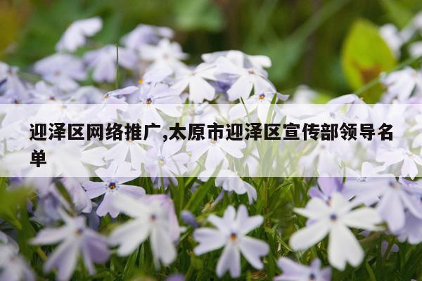 迎泽区网络推广,太原市迎泽区宣传部领导名单