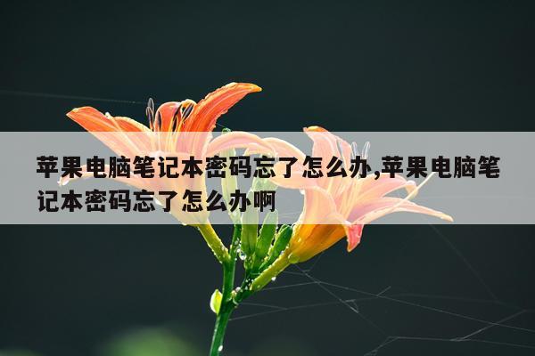 苹果电脑笔记本密码忘了怎么办,苹果电脑笔记本密码忘了怎么办啊