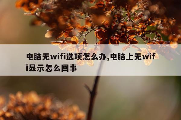 电脑无wifi选项怎么办,电脑上无wifi显示怎么回事