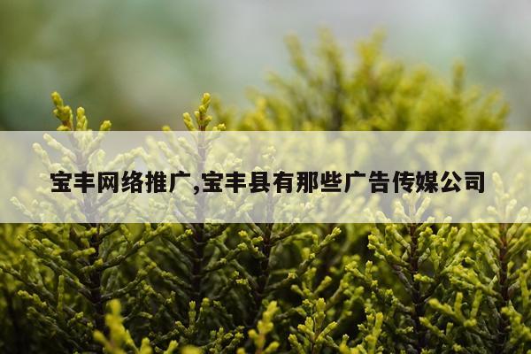 宝丰网络推广,宝丰县有那些广告传媒公司