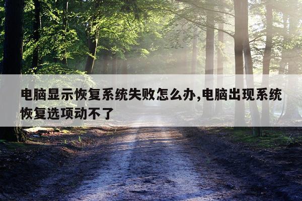 电脑显示恢复系统失败怎么办,电脑出现系统恢复选项动不了
