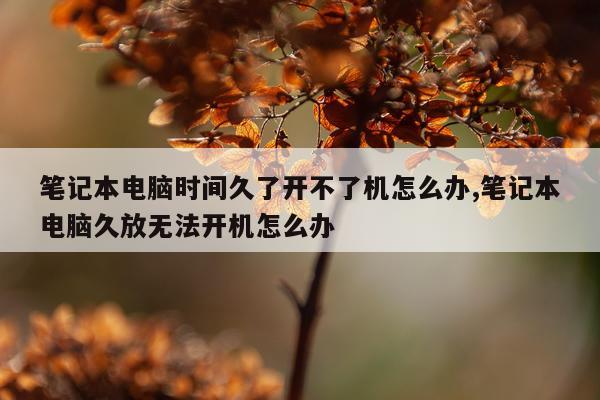 笔记本电脑时间久了开不了机怎么办,笔记本电脑久放无法开机怎么办