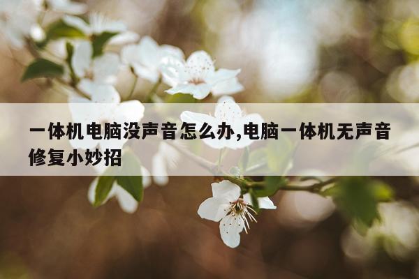 一体机电脑没声音怎么办,电脑一体机无声音修复小妙招