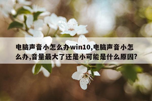 电脑声音小怎么办win10,电脑声音小怎么办,音量最大了还是小可能是什么原因?