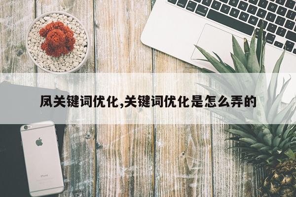 凤关键词优化,关键词优化是怎么弄的