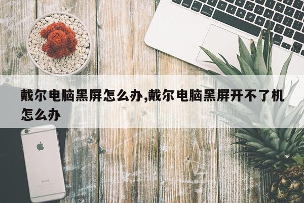 戴尔电脑黑屏怎么办,戴尔电脑黑屏开不了机怎么办