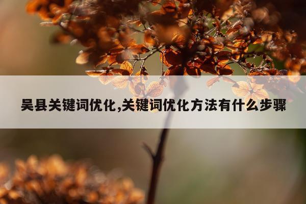 吴县关键词优化,关键词优化方法有什么步骤
