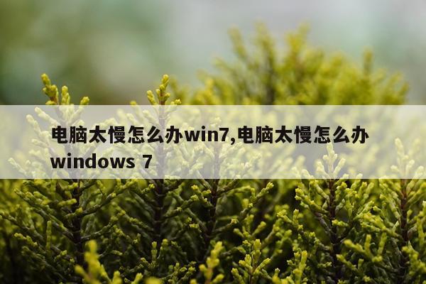 电脑太慢怎么办win7,电脑太慢怎么办 windows 7