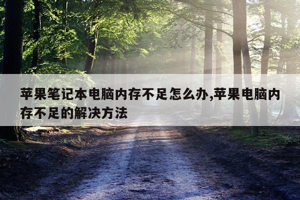 苹果笔记本电脑内存不足怎么办,苹果电脑内存不足的解决方法