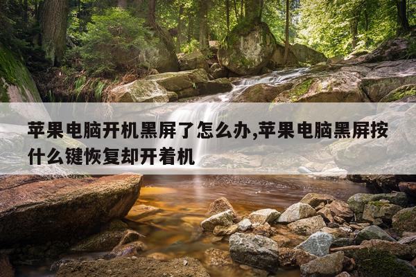苹果电脑开机黑屏了怎么办,苹果电脑黑屏按什么键恢复却开着机
