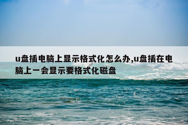 u盘插电脑上显示格式化怎么办,u盘插在电脑上一会显示要格式化磁盘