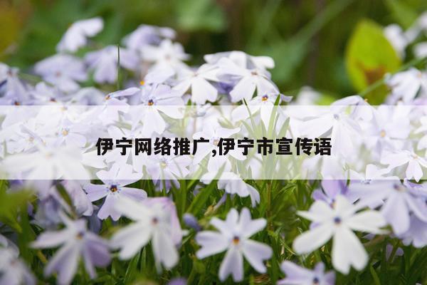 伊宁网络推广,伊宁市宣传语