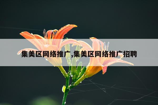 集美区网络推广,集美区网络推广招聘