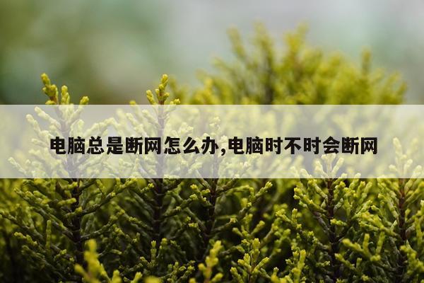电脑总是断网怎么办,电脑时不时会断网