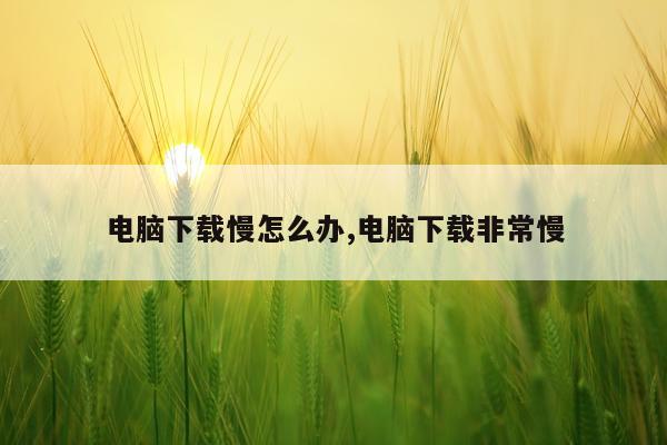 电脑下载慢怎么办,电脑下载非常慢