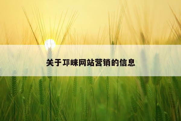 关于邛崃网站营销的信息