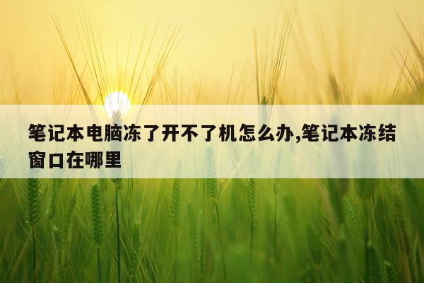 笔记本电脑冻了开不了机怎么办,笔记本冻结窗口在哪里