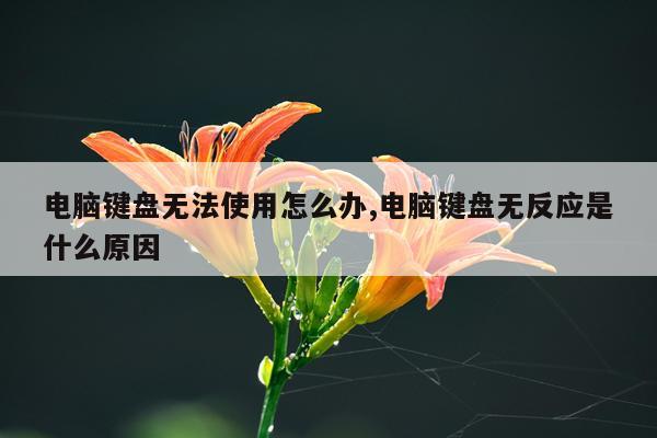电脑键盘无法使用怎么办,电脑键盘无反应是什么原因