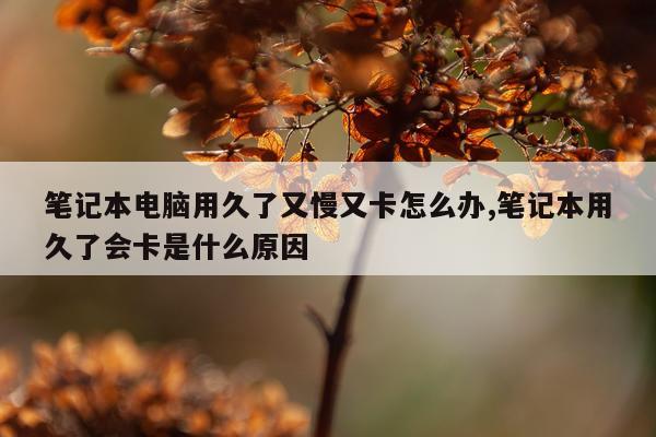 笔记本电脑用久了又慢又卡怎么办,笔记本用久了会卡是什么原因