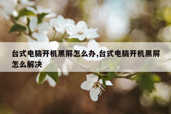 台式电脑开机黑屏怎么办,台式电脑开机黑屏怎么解决