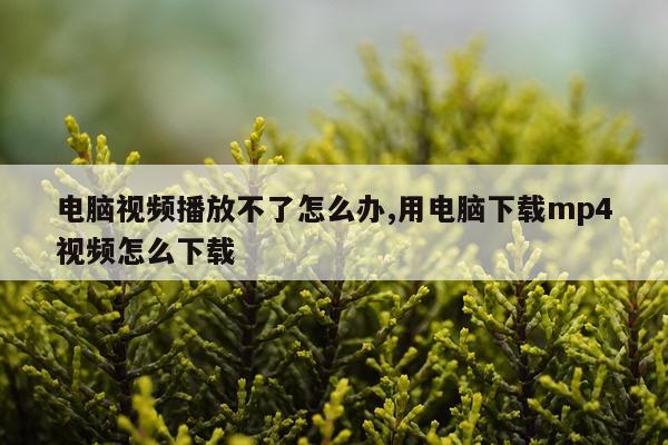 电脑视频播放不了怎么办,用电脑下载mp4视频怎么下载
