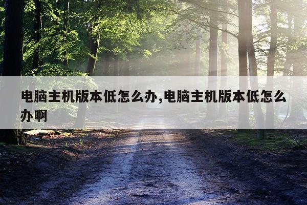 电脑主机版本低怎么办,电脑主机版本低怎么办啊