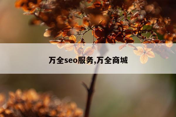 万全seo服务,万全商城