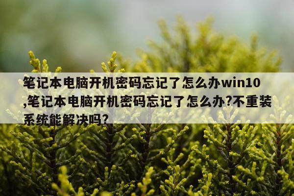 笔记本电脑开机密码忘记了怎么办win10,笔记本电脑开机密码忘记了怎么办?不重装系统能解决吗?