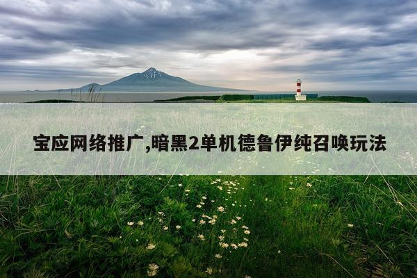 宝应网络推广,暗黑2单机德鲁伊纯召唤玩法