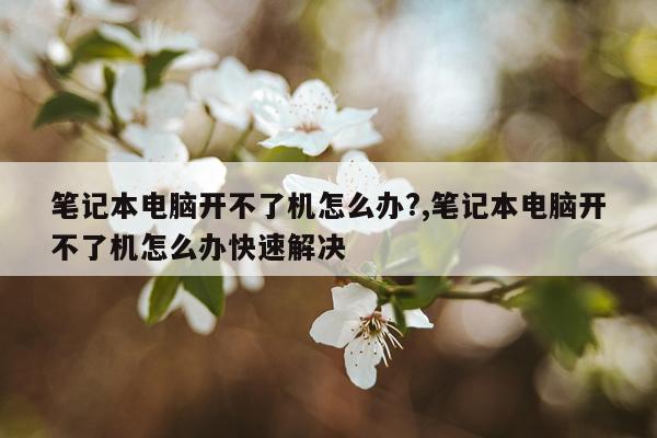 笔记本电脑开不了机怎么办?,笔记本电脑开不了机怎么办快速解决