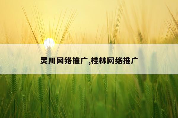 灵川网络推广,桂林网络推广