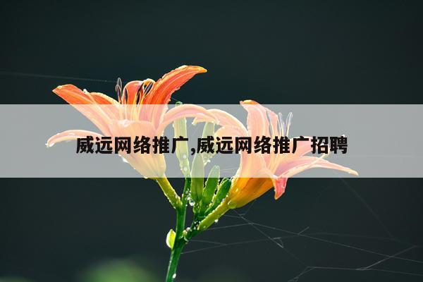 威远网络推广,威远网络推广招聘