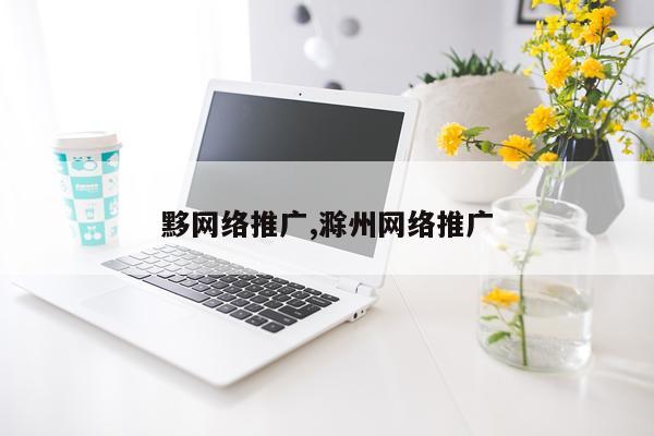 黟网络推广,滁州网络推广