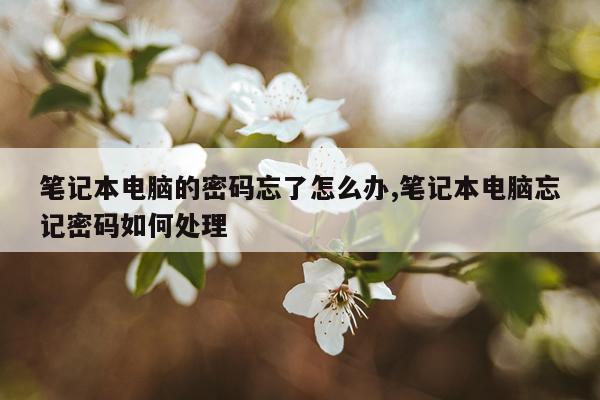 笔记本电脑的密码忘了怎么办,笔记本电脑忘记密码如何处理