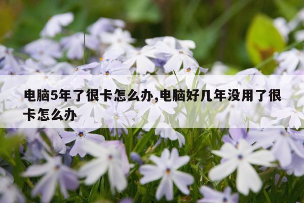 电脑5年了很卡怎么办,电脑好几年没用了很卡怎么办