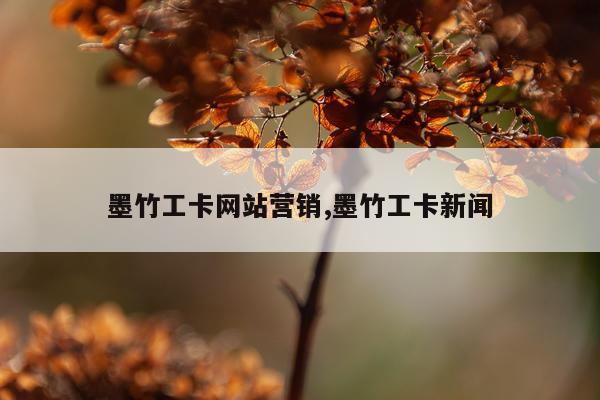 墨竹工卡网站营销,墨竹工卡新闻